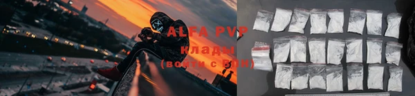крисы Алзамай