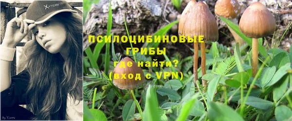 a pvp Алексеевка