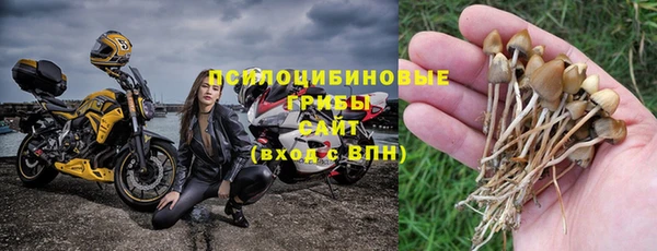 a pvp Алексеевка