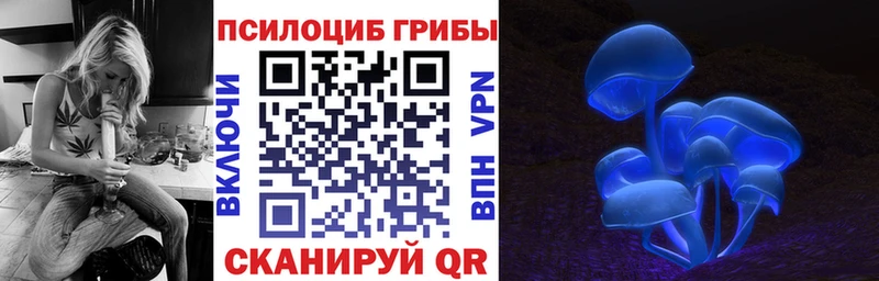 Галлюциногенные грибы прущие грибы blacksprut зеркало Хотьково
